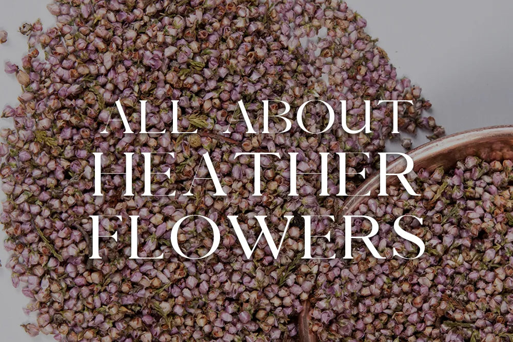 Heather Flowers: Magickal Properties & Uses