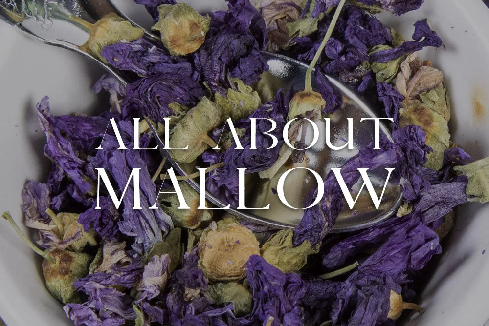 Mallow: Magickal Properties & Uses
