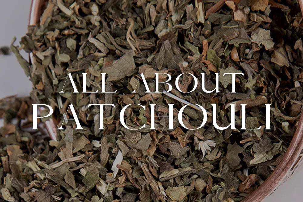 Patchouli Leaf: Magickal Properties & Uses