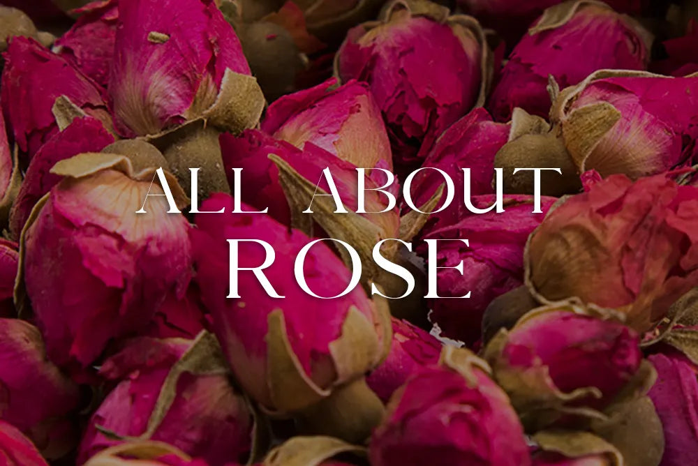 Rose: Magickal Properties & Uses