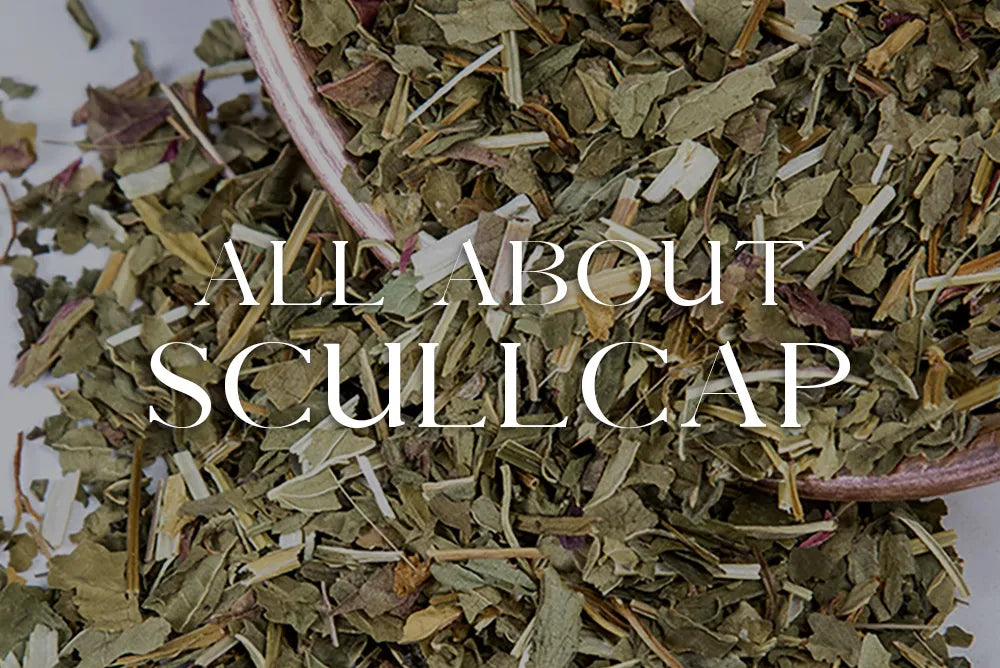 Scullcap: Magickal Properties & Uses