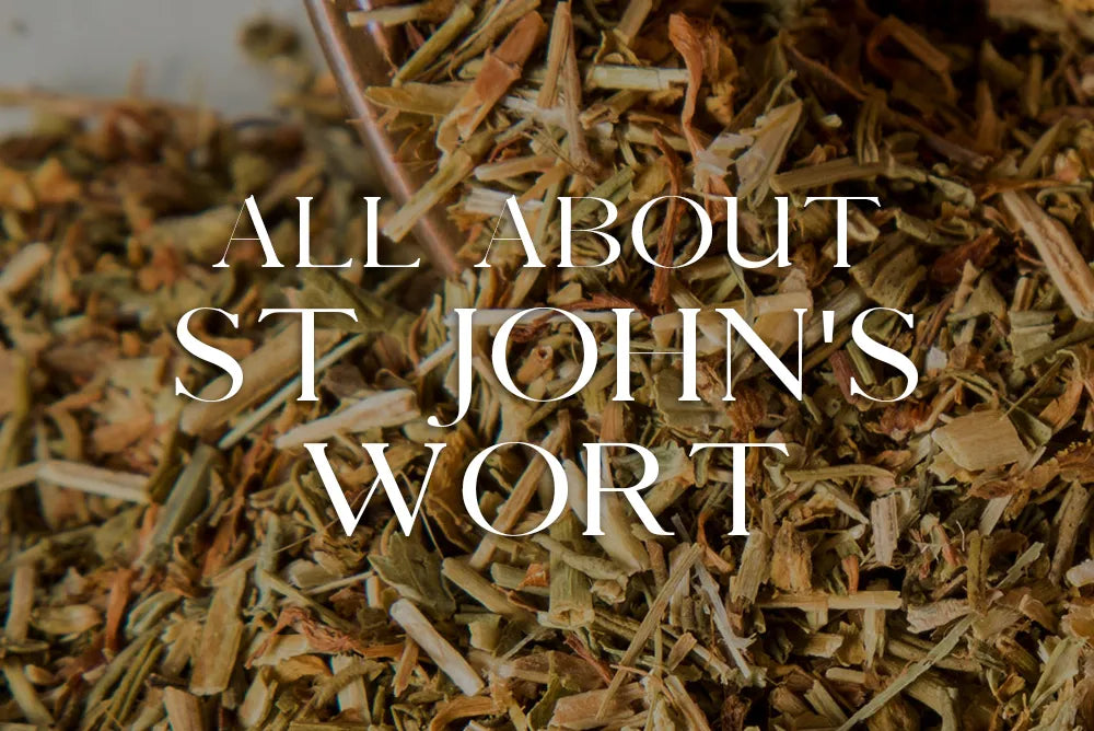 St John's Wort: Magickal Properties & Uses