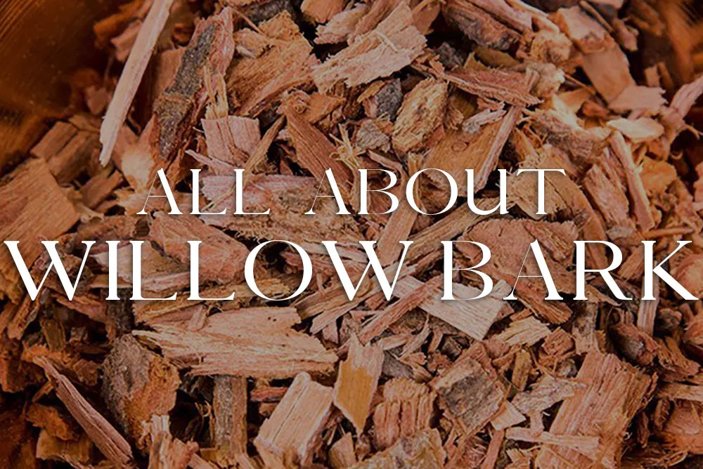Willow Bark: Magickal Properties & Uses