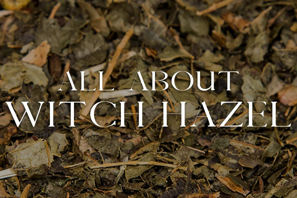 Witch Hazel: Magickal Properties & Uses