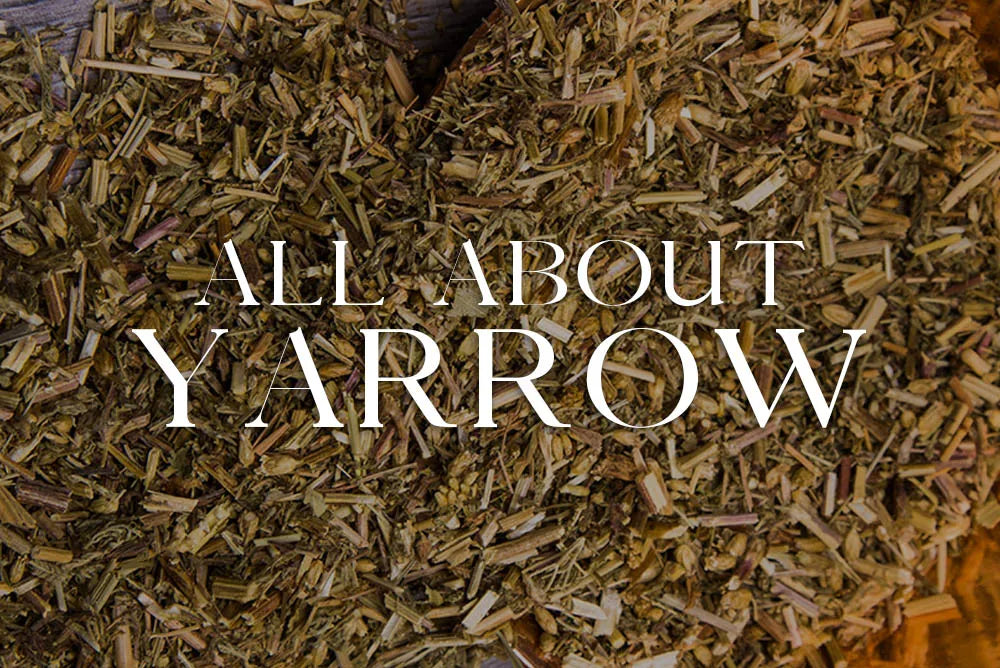 Yarrow: Magickal Properties & Uses