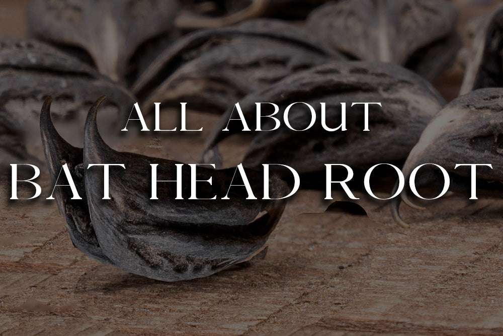 Bats Head Root: Magickal Properties & Uses