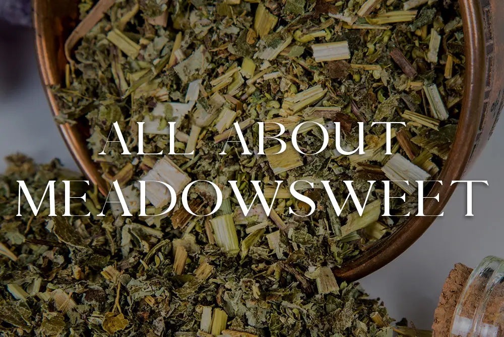 Meadowsweet: Magickal Properties & Uses
