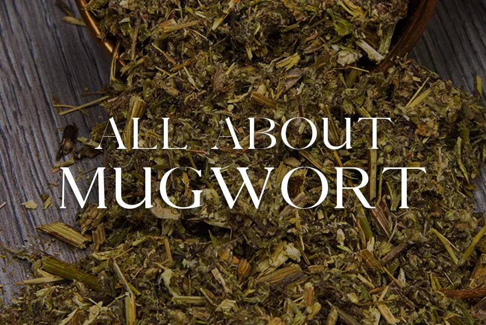 Mugwort: Magickal Properties & Uses