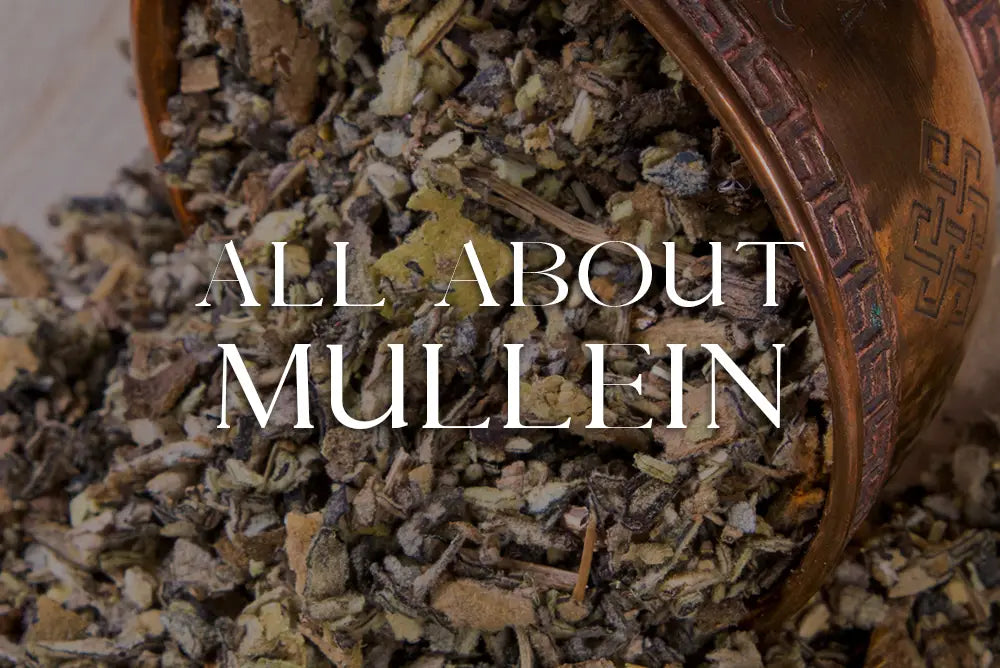 Mullein: Magickal Properties & Uses