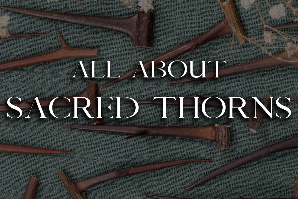 Acacia / Hawthorn Thorns: Magickal Properties & Uses