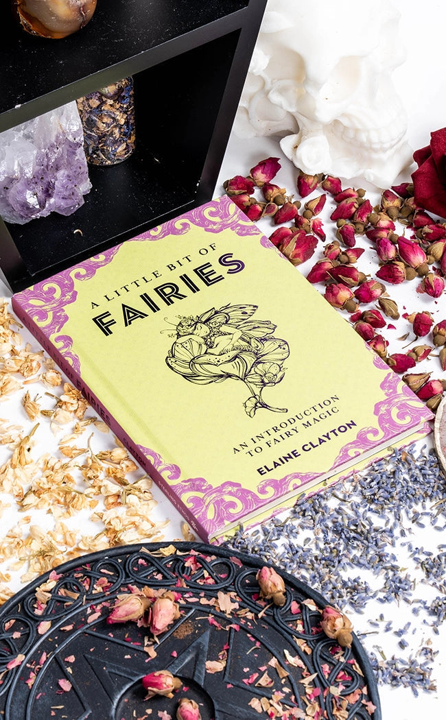 A Little Bit Of Fairies | An Introduction to Fairy Magic