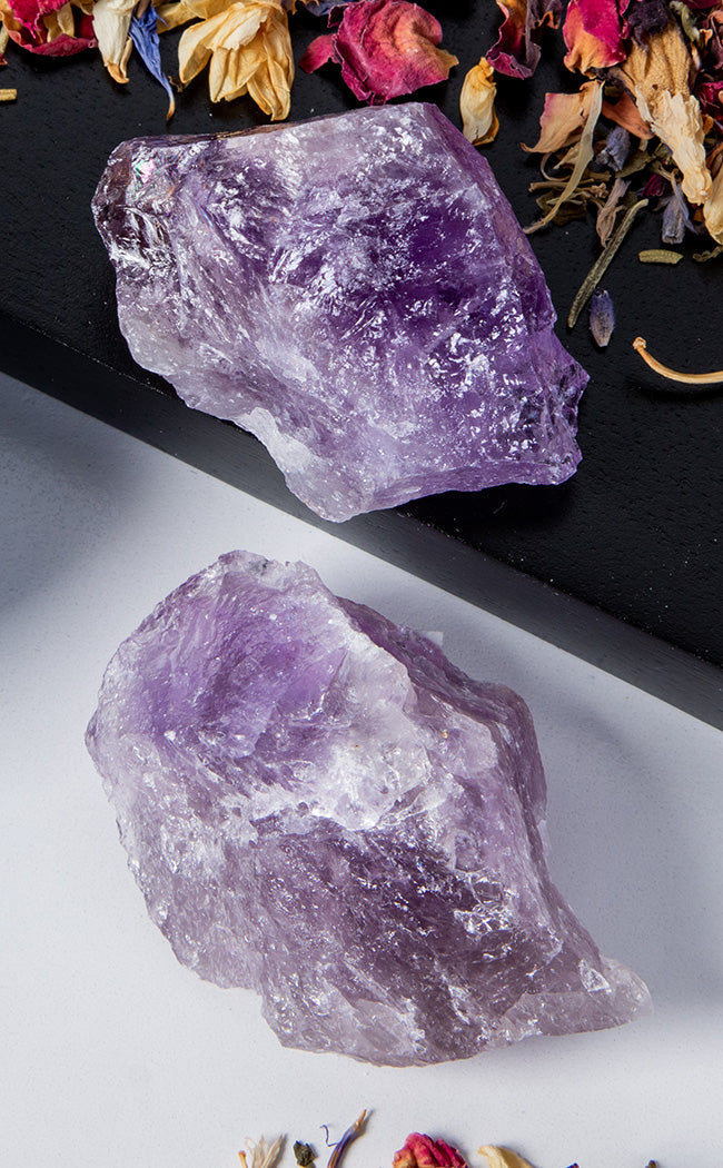 Amethyst Raw Gem-Crystals-Tragic Beautiful