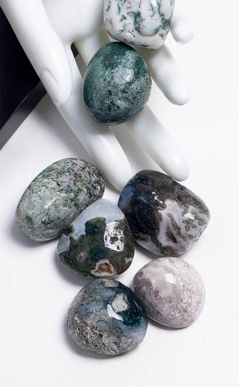 Beautiful XL Tree & Moss Agate Tumbles-Crystals-Tragic Beautiful