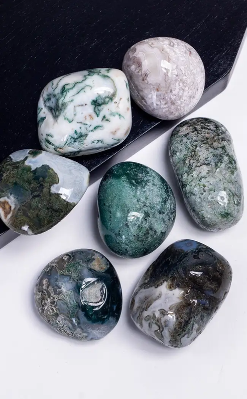 Beautiful XL Tree & Moss Agate Tumbles-Crystals-Tragic Beautiful