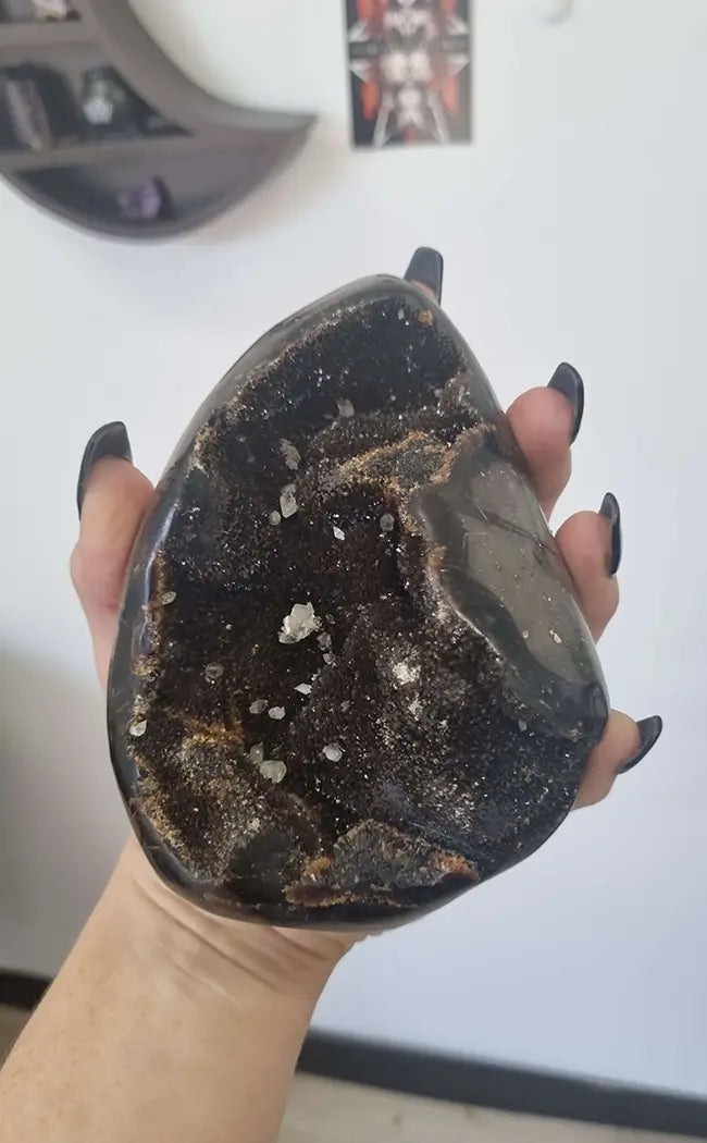 Black Dragon Egg w Calcite Flat Base | Natural Septarian | 1.2kg-Crystals-Tragic Beautiful