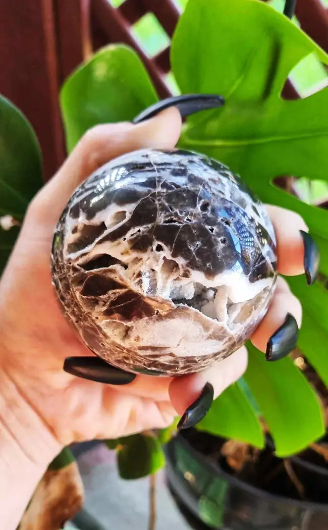 Black Sphalerite Geode Sphere | Large-Crystals-Tragic Beautiful