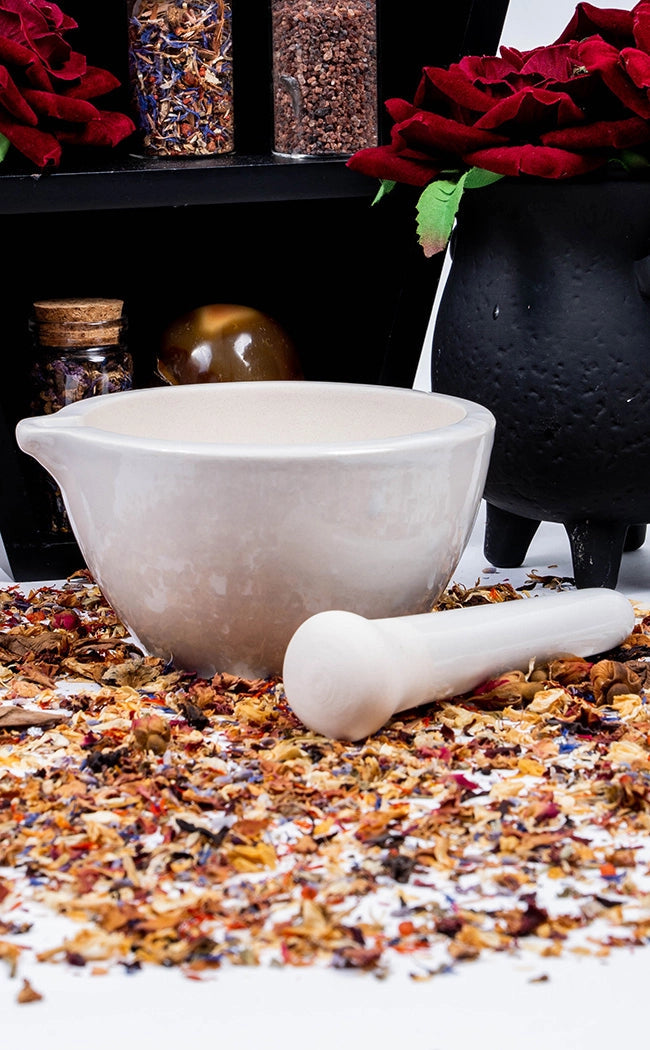 Ceramic Mortar & Pestle with Pourer-Witchcraft Supplies-Tragic Beautiful