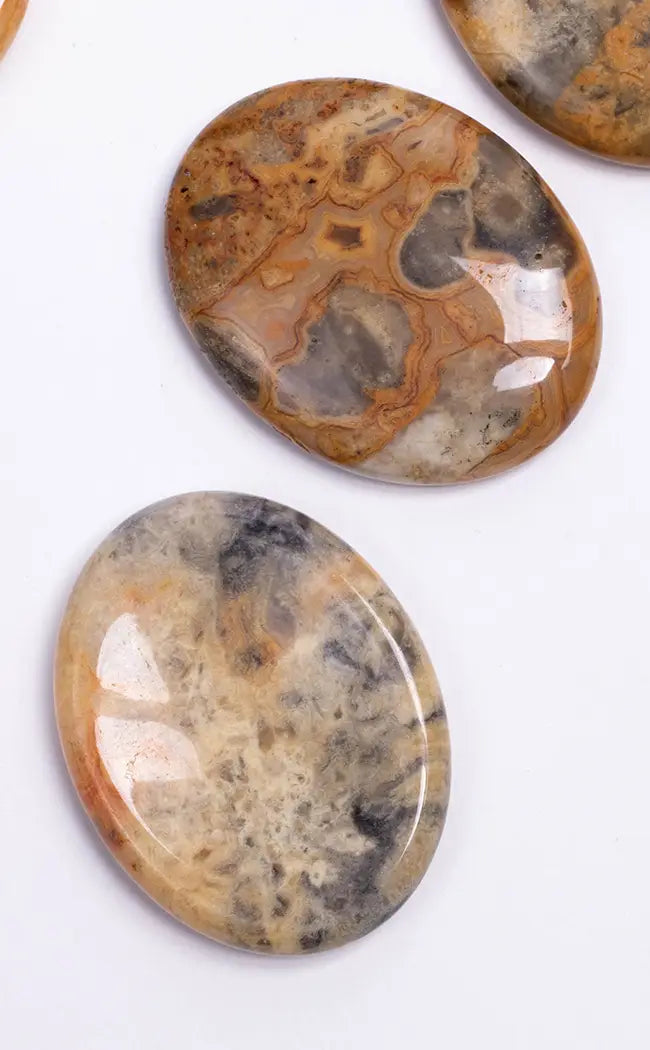Crazy Lace Agate Worry Stone-Crystals-Tragic Beautiful