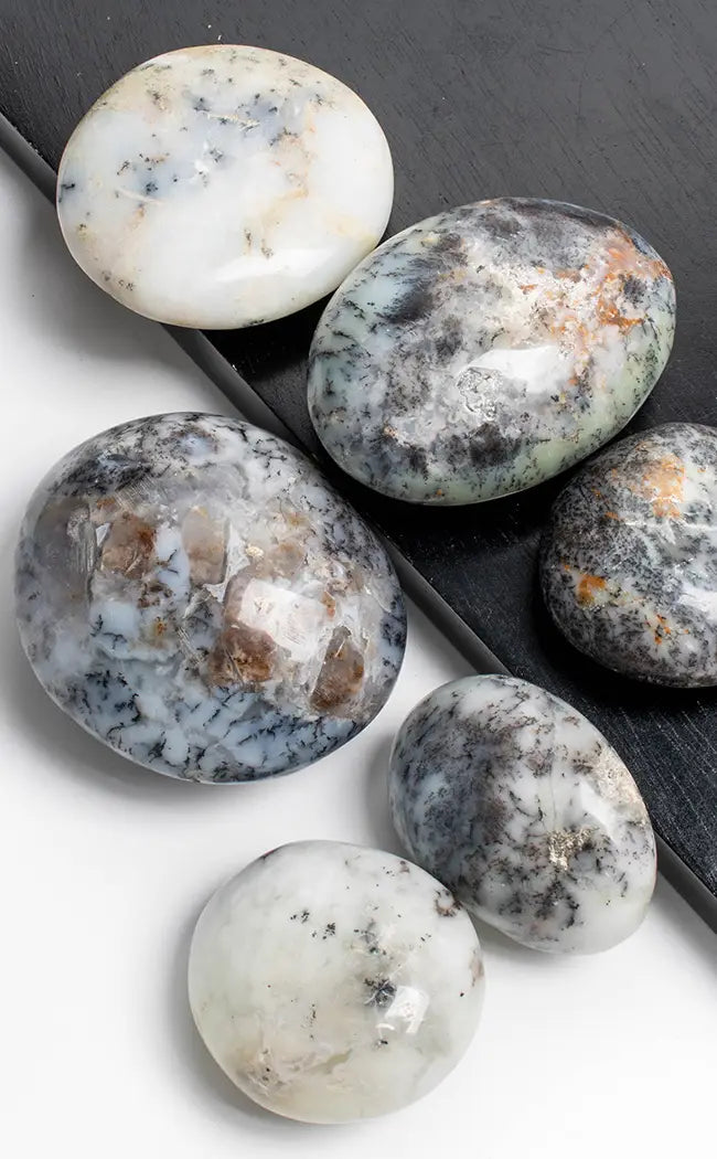 Dendritic Opal Palm Stone-Crystals-Tragic Beautiful