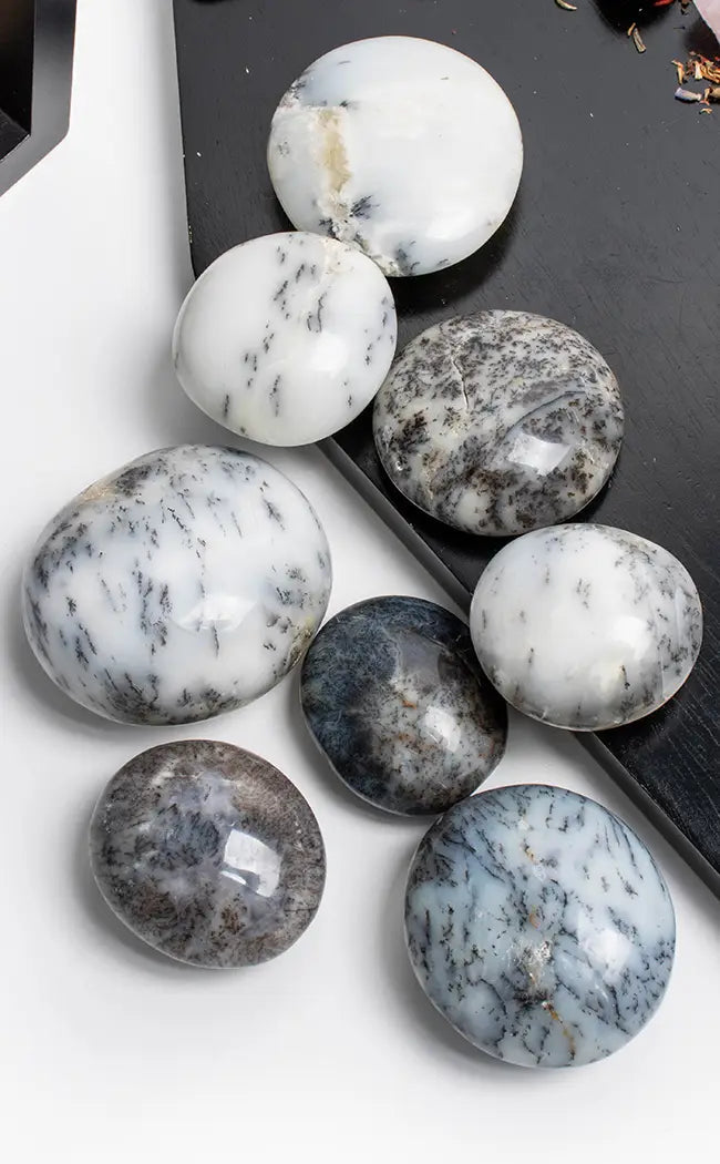 Dendritic Opal Palm Stone