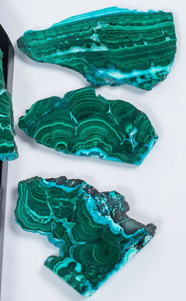 Gorgeous Banded Malacholla Slices | Malachite & Chrysocolla-Crystals-Tragic Beautiful