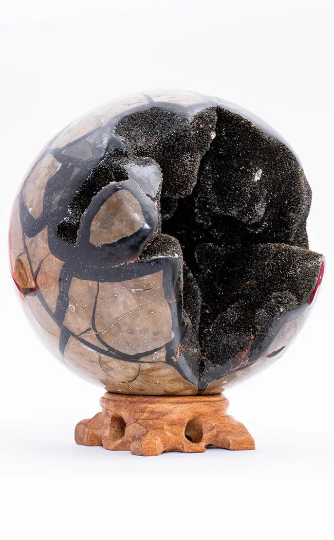 Large Black Dragon Egg Septarian Sphere | 3.13kg-Crystals-Tragic Beautiful