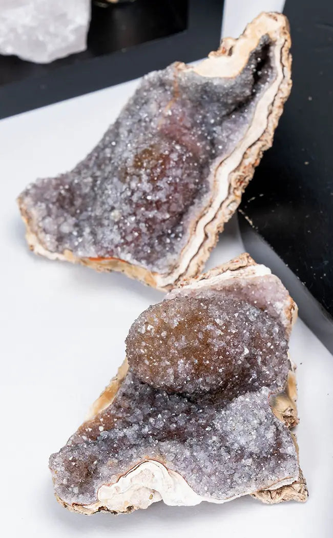 Lilac Pink Amethyst Flower Clusters-Crystals-Tragic Beautiful