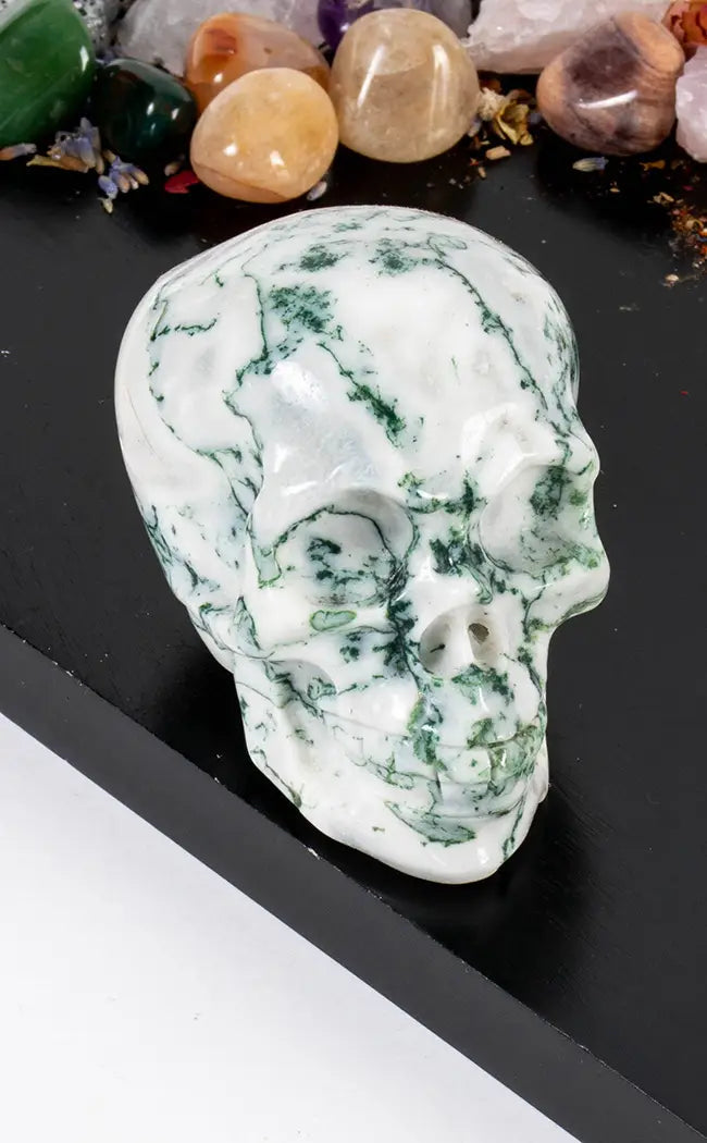 Moss Agate Crystal Skulls