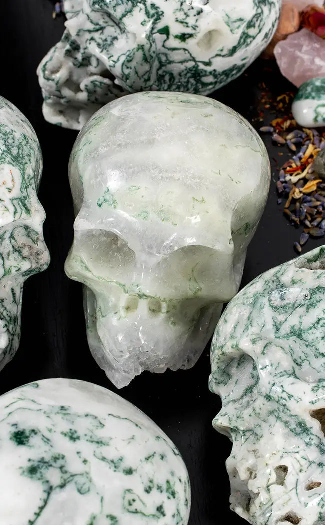 Moss Agate Crystal Skulls