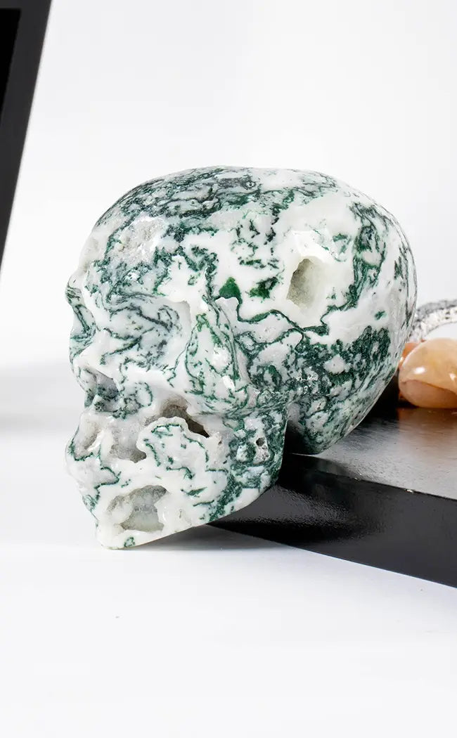 Moss Agate Crystal Skulls