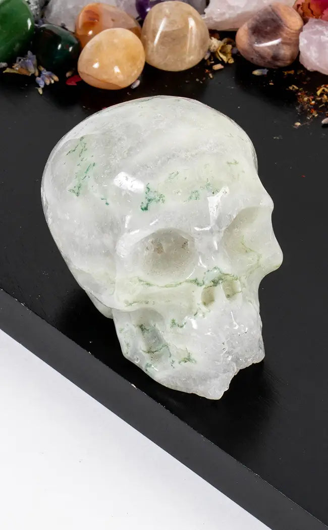 Moss Agate Crystal Skulls