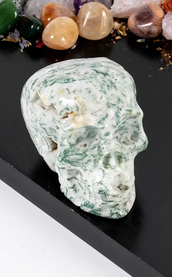 Moss Agate Crystal Skulls