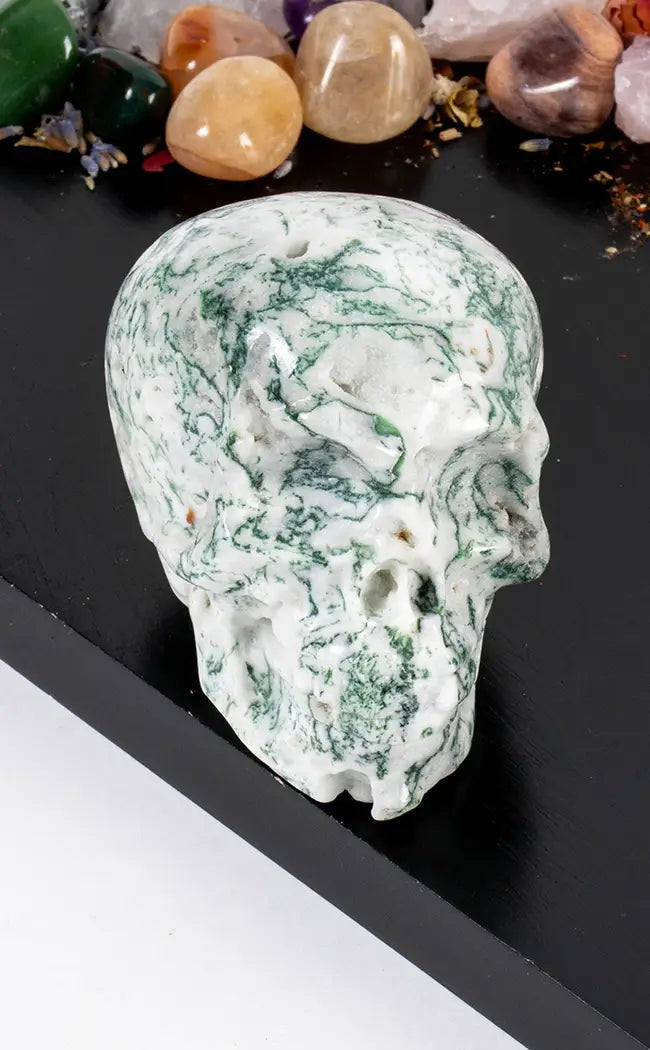 Moss Agate Crystal Skulls