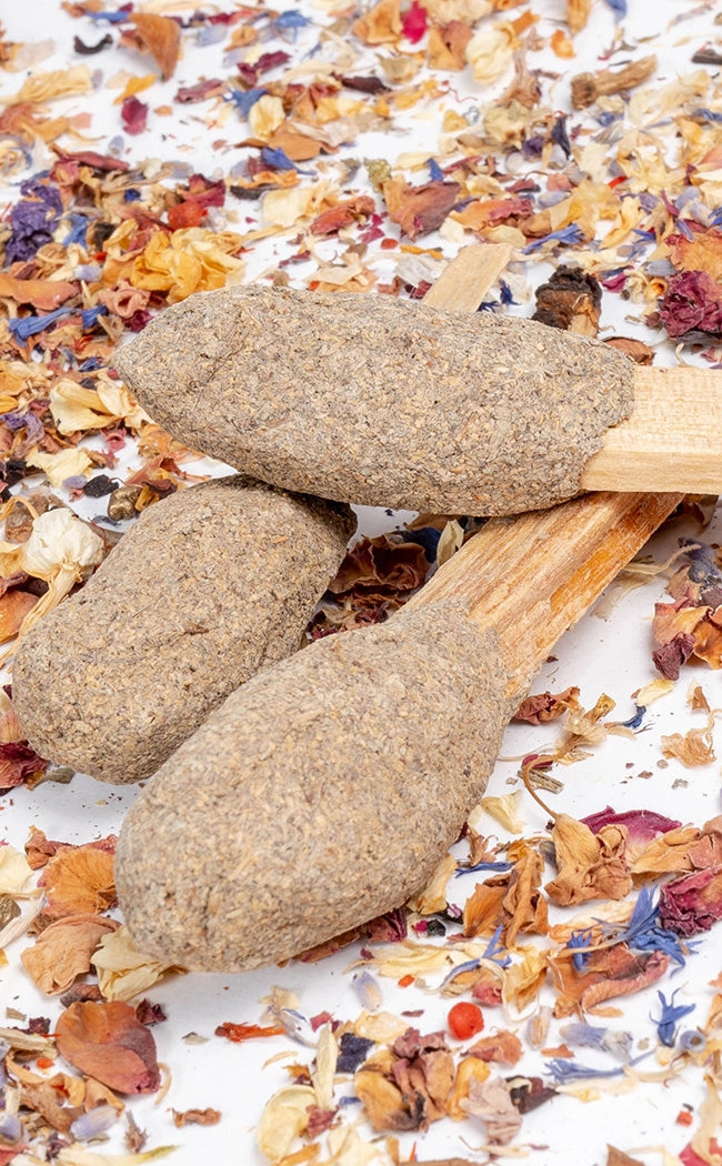 Palo Santo Cleansing Pop | Blue Sage-Cleansing Wands & Smudge Sticks-Tragic Beautiful