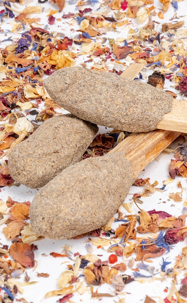 Palo Santo Cleansing Pop | Blue Sage-Cleansing Wands & Smudge Sticks-Tragic Beautiful