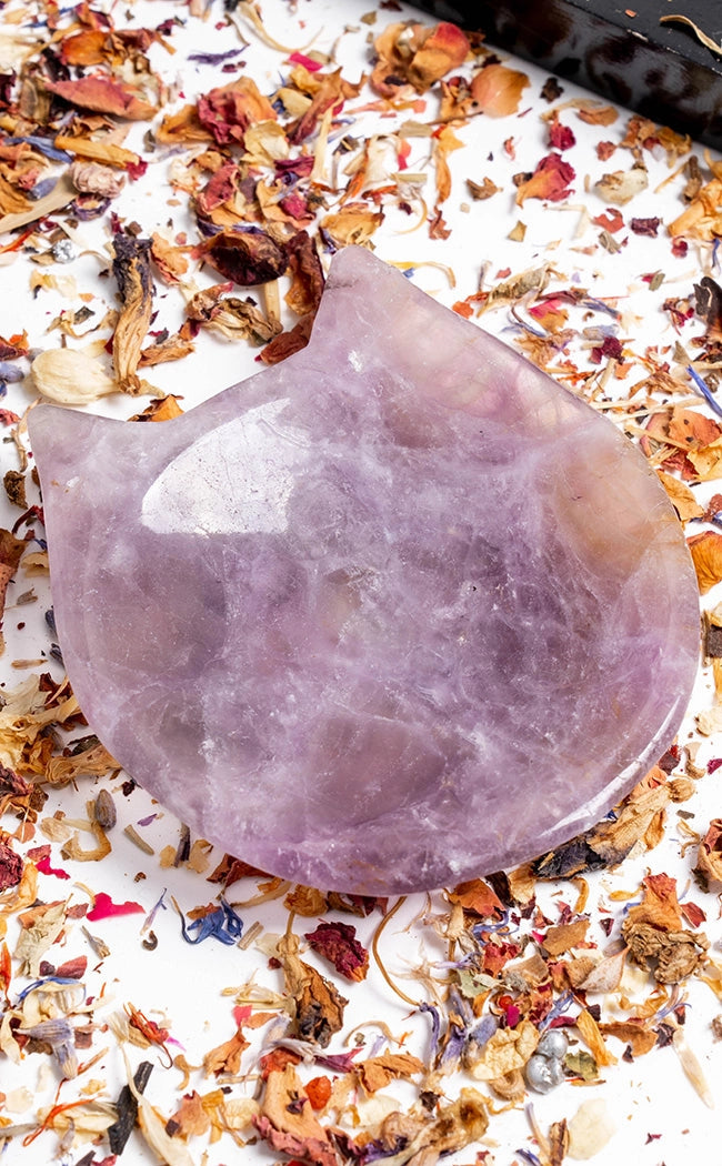 Rainbow Fluorite Crystal Cat Bowl