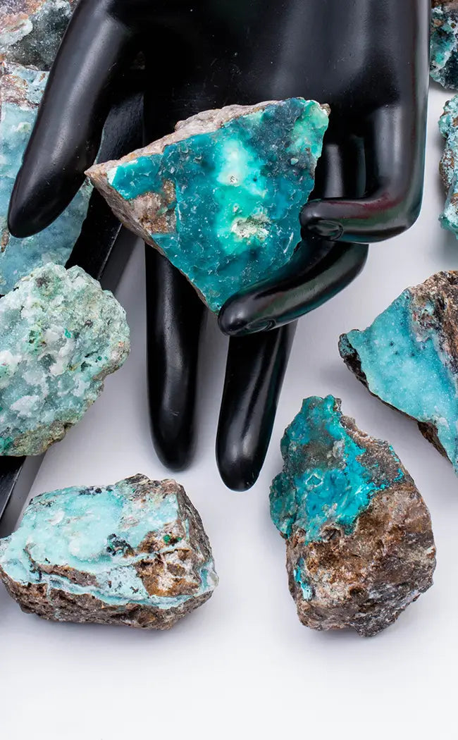 Rare Druzy Chrysocolla with Libethenite & Malachite Specimens-Crystals-Tragic Beautiful