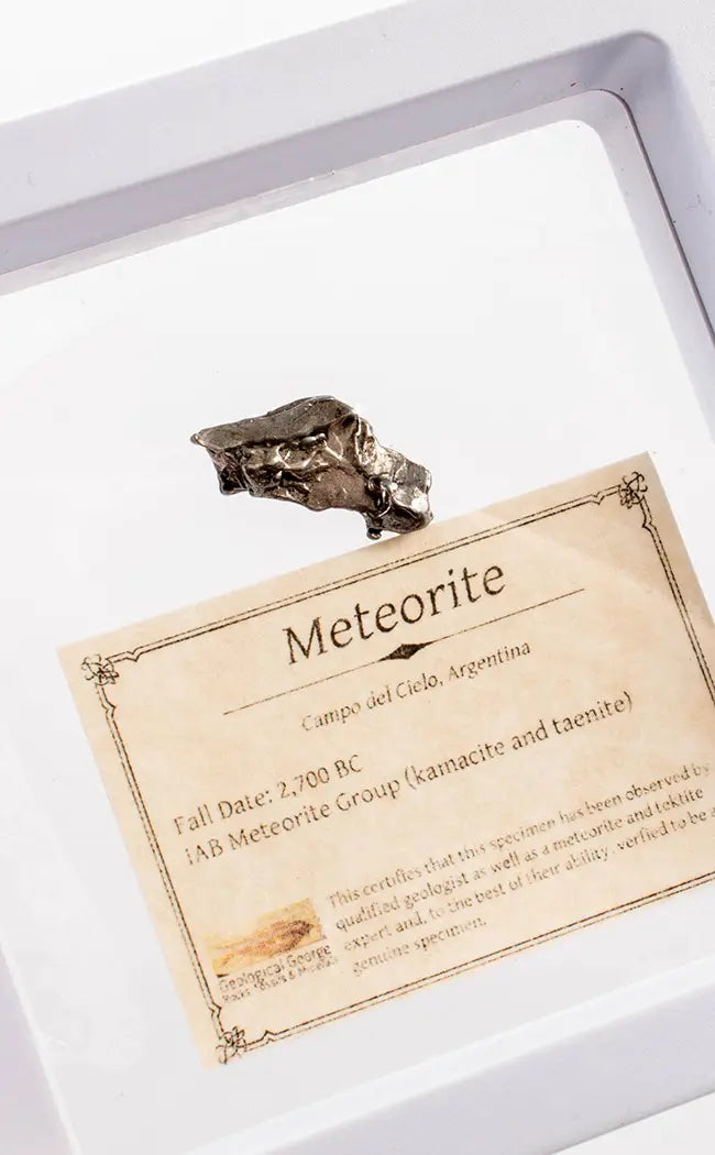 Rare Genuine Meteorite Specimens