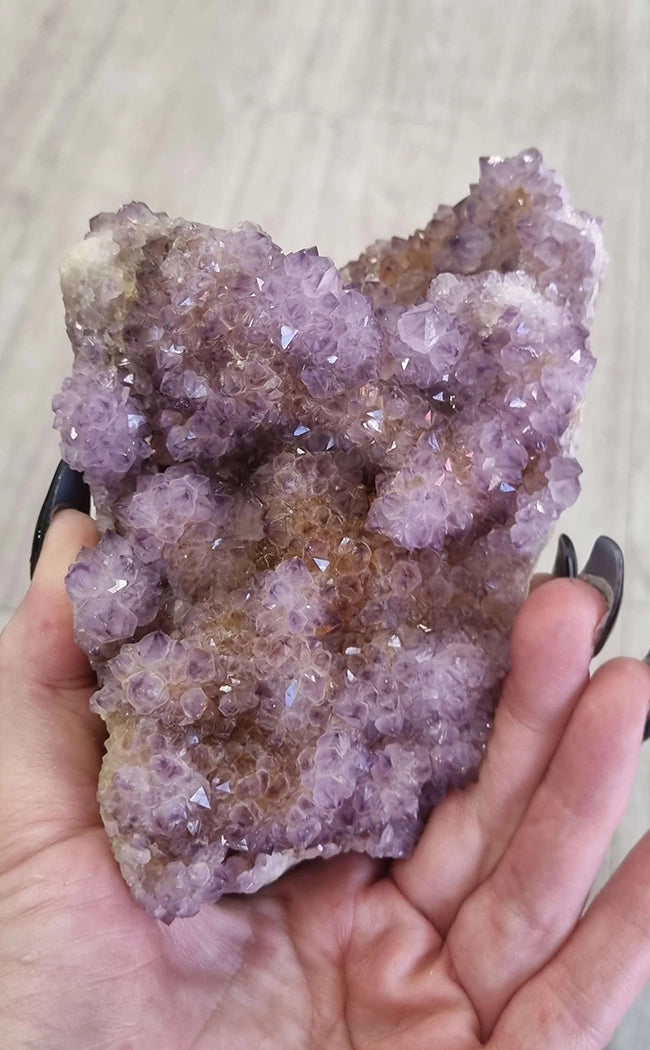 Rare XXL Lilac Ametrine Spirit Quartz Cluster