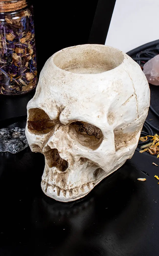 Skull Tea Light Holder-Gothic Gifts-Tragic Beautiful