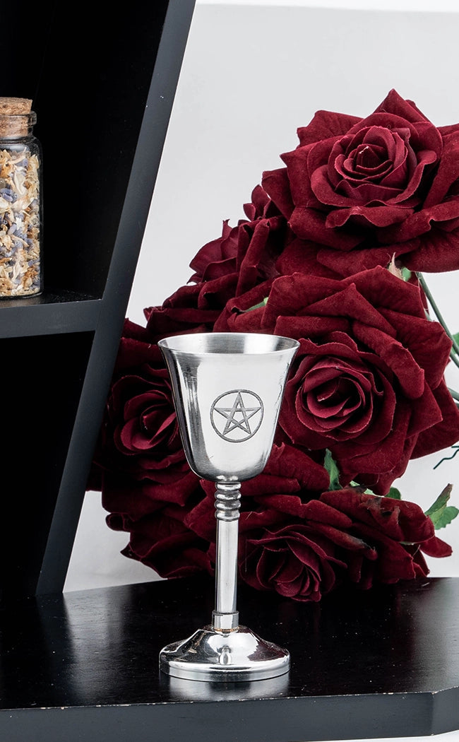 Small Ceremonial Brass Goblet | Silver Pentagram-Witchcraft Supplies-Tragic Beautiful