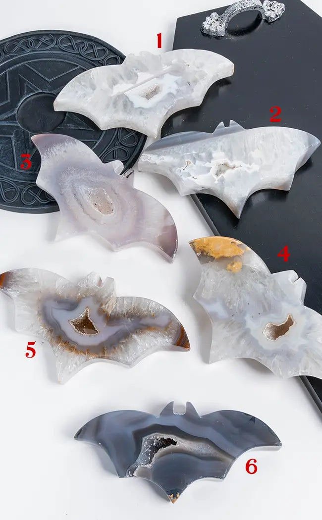 Stunning XL Agate Bats with Druzy Caves-Crystals-Tragic Beautiful