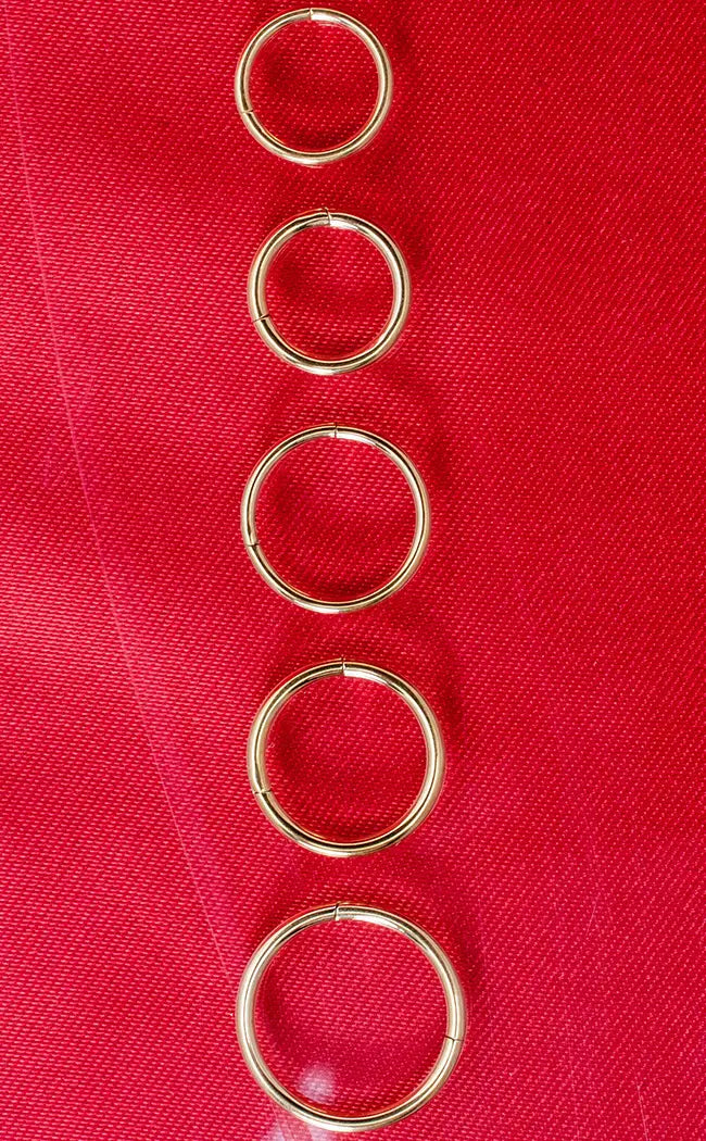 Titanium Septum Ring | Gold-Impaler-Tragic Beautiful