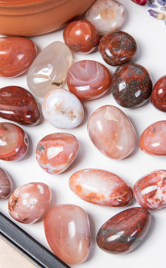 Tumbled Stones | Carnelian-Crystals-Tragic Beautiful