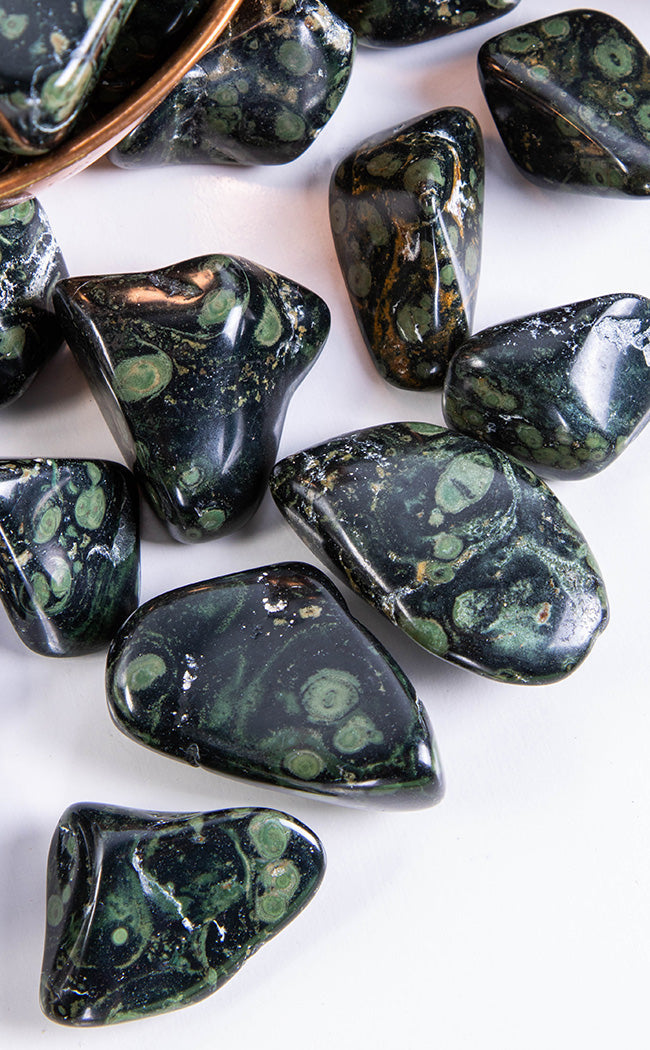 Tumbled Stones | Crocodile Jasper-Crystals-Tragic Beautiful