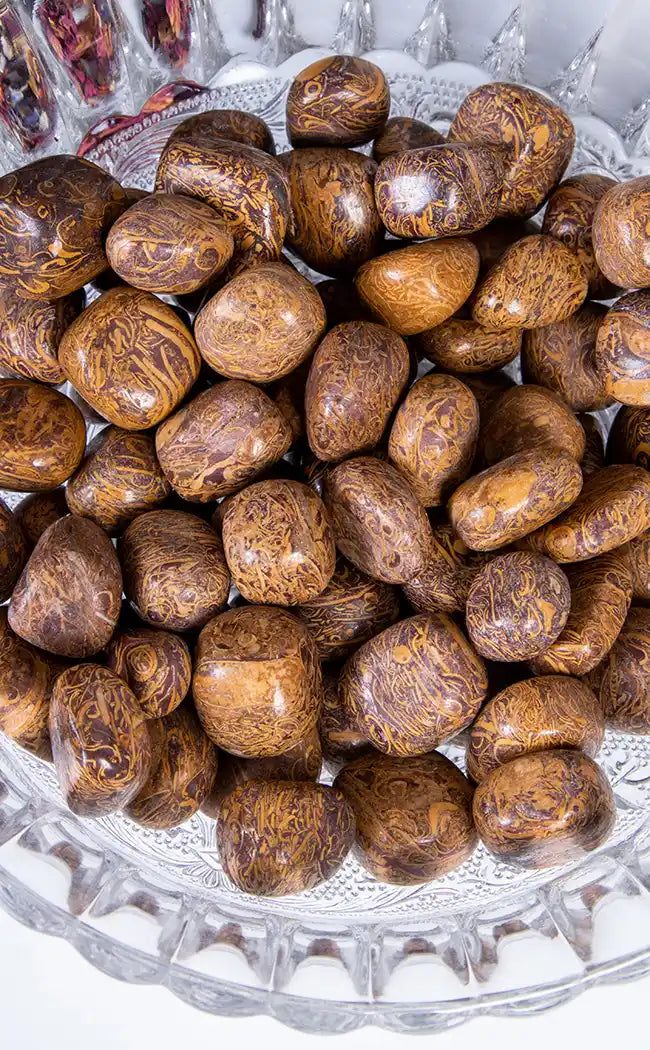 Tumbled Stones | Elephant Skin Jasper | Calligraphy Stone-Crystals-Tragic Beautiful