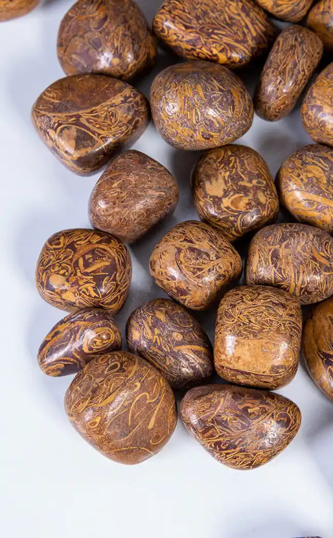 Tumbled Stones | Elephant Skin Jasper | Calligraphy Stone-Crystals-Tragic Beautiful