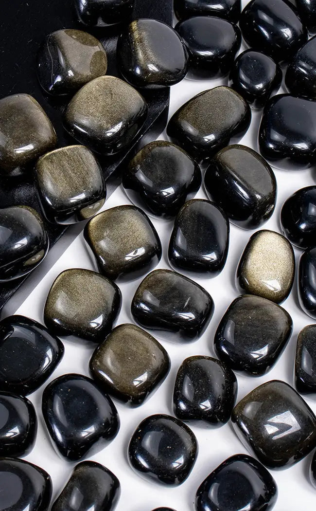 Tumbled Stones | Gold Sheen Obsidian-Tumble Stones-Tragic Beautiful