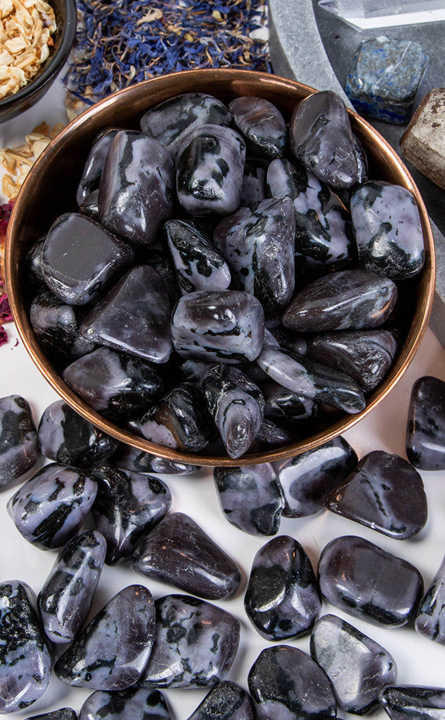 Tumbled Stones | Indigo Gabbro-Crystals-Tragic Beautiful