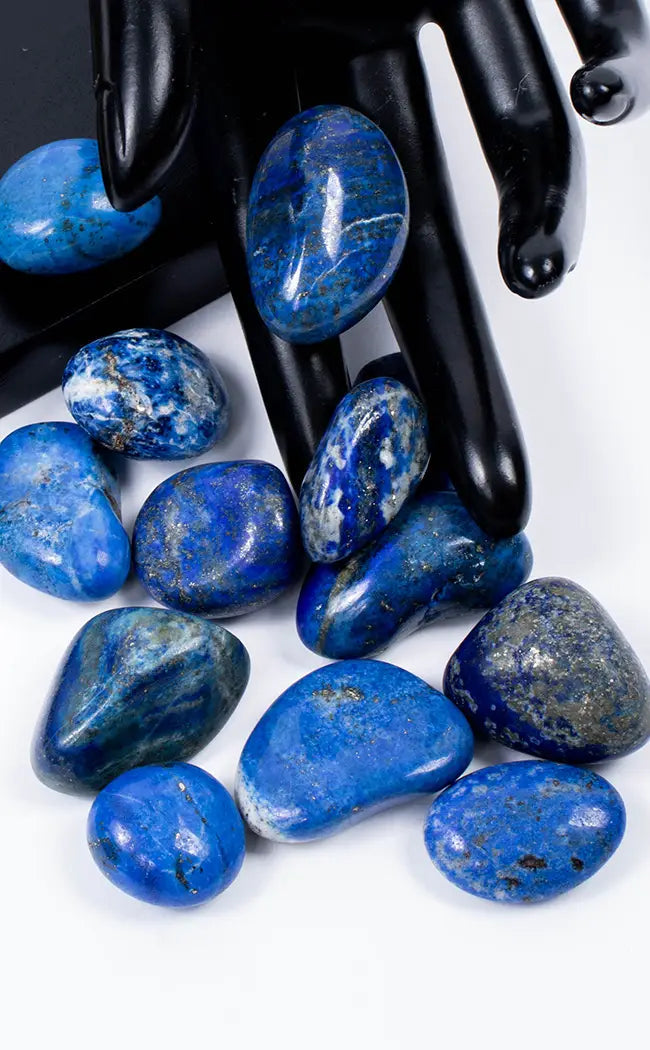 Tumbled Stones | Lapis Lazuli-Tumble Stones-Tragic Beautiful